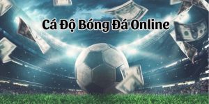 Cá Độ Bóng Đá Online Trải Nghiệm Đỉnh Cao Săn Thưởng Lớn